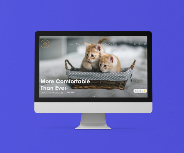 Custom Shopify Dropshipping Store - USA Suppliers - Dropshiprz
